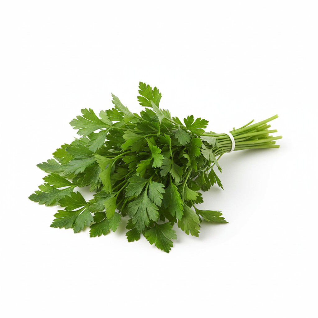 イタリアンパセリ