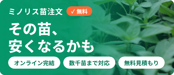 ミノリス苗注文バナー