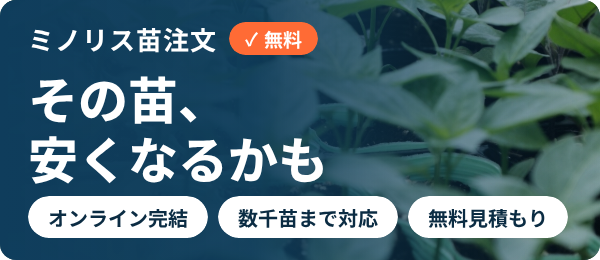 ミノリス苗注文バナー（紺）