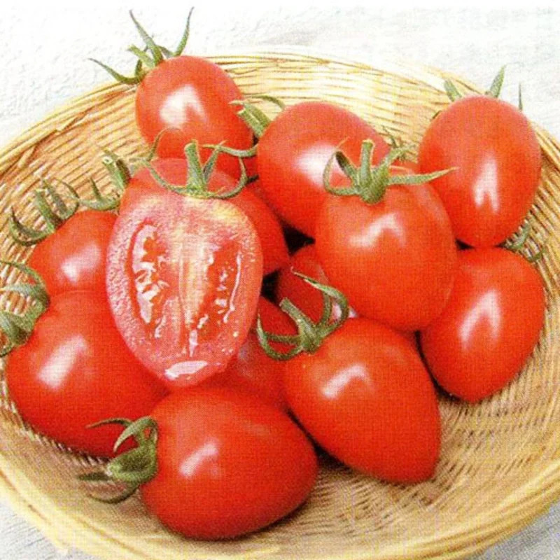 華ロマン